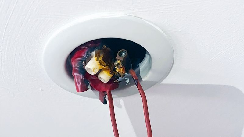 lachmann bilder defekt