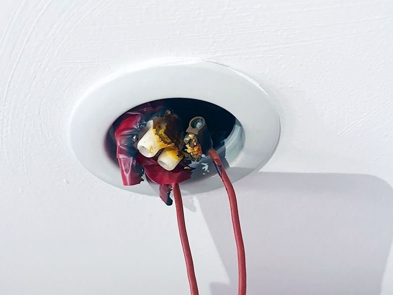 lachmann bilder defekt