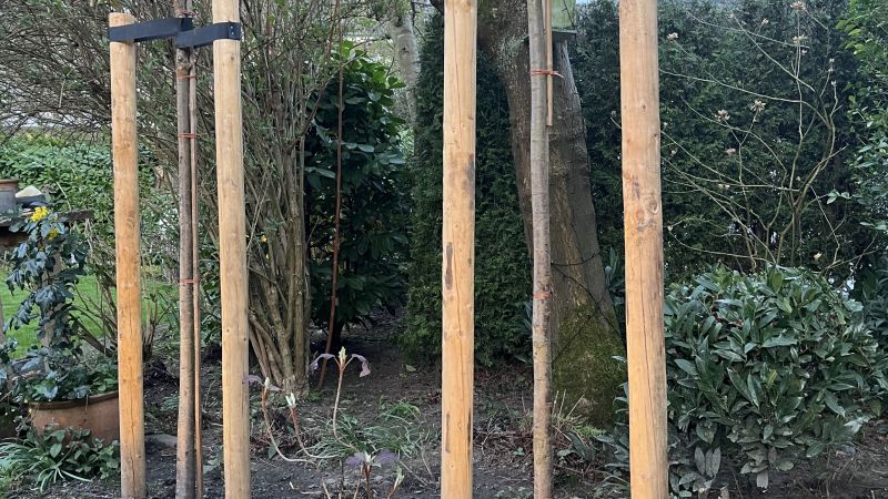 Beleuchtung Bäume mit Boseneinbauleuchten